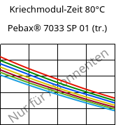 Kriechmodul-Zeit 80°C, Pebax® 7033 SP 01 (trocken), TPA, ARKEMA