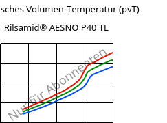 Spezifisches Volumen-Temperatur (pvT) , Rilsamid® AESNO P40 TL, PA12, ARKEMA