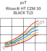  pvT , Rilsan® HT CZM 30 BLACK TLD, PA*-GF30, ARKEMA