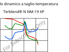 Modulo dinamico a taglio-temperatura , Terblend® N NM-19 XP, (ABS+PA6), INEOS Styrolution