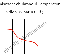 Dynamischer Schubmodul-Temperatur , Grilon BS natural (feucht), PA6, EMS-GRIVORY