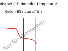 Dynamischer Schubmodul-Temperatur , Grilon BS natural (trocken), PA6, EMS-GRIVORY