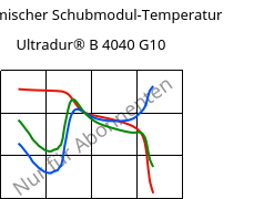 Dynamischer Schubmodul-Temperatur , Ultradur® B 4040 G10, (PBT+PET)-GF50, BASF