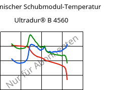 Dynamischer Schubmodul-Temperatur , Ultradur® B 4560, PBT, BASF