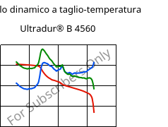 Modulo dinamico a taglio-temperatura , Ultradur® B 4560, PBT, BASF