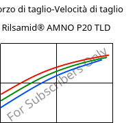 Sforzo di taglio-Velocità di taglio , Rilsamid® AMNO P20 TLD, PA12, ARKEMA