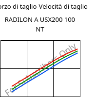 Sforzo di taglio-Velocità di taglio , RADILON A USX200 100 NT, PA66, RadiciGroup