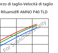 Sforzo di taglio-Velocità di taglio , Rilsamid® AMNO P40 TLD, PA12, ARKEMA