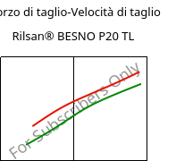 Sforzo di taglio-Velocità di taglio , Rilsan® BESNO P20 TL, PA11, ARKEMA