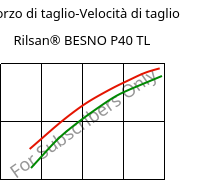 Sforzo di taglio-Velocità di taglio , Rilsan® BESNO P40 TL, PA11, ARKEMA