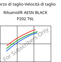 Sforzo di taglio-Velocità di taglio , Rilsamid® AESN BLACK P202 T6L, PA12-I, ARKEMA