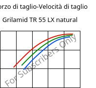 Sforzo di taglio-Velocità di taglio , Grilamid TR 55 LX natural, PA12/MACMI, EMS-GRIVORY