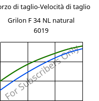 Sforzo di taglio-Velocità di taglio , Grilon F 34 NL natural 6019, PA6, EMS-GRIVORY