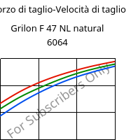 Sforzo di taglio-Velocità di taglio , Grilon F 47 NL natural 6064, PA6, EMS-GRIVORY