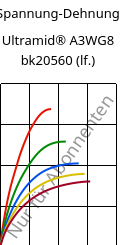 Spannung-Dehnung , Ultramid® A3WG8 bk20560 (feucht), PA66-GF40, BASF
