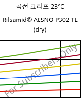곡선 크리프 23°C, Rilsamid® AESNO P302 TL (건조), PA12, ARKEMA