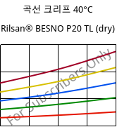 곡선 크리프 40°C, Rilsan® BESNO P20 TL (건조), PA11, ARKEMA