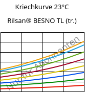 Kriechkurve 23°C, Rilsan® BESNO TL (trocken), PA11, ARKEMA