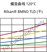 蠕变曲线 120°C, Rilsan® BMNO TLD (烘干), PA11, ARKEMA