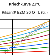 Kriechkurve 23°C, Rilsan® BZM 30 O TL (trocken), PA11-GF30, ARKEMA