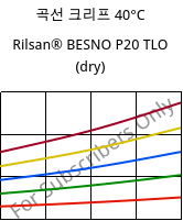 곡선 크리프 40°C, Rilsan® BESNO P20 TLO (건조), PA11, ARKEMA