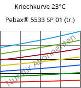 Kriechkurve 23°C, Pebax® 5533 SP 01 (trocken), TPA, ARKEMA