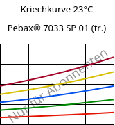 Kriechkurve 23°C, Pebax® 7033 SP 01 (trocken), TPA, ARKEMA