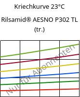 Kriechkurve 23°C, Rilsamid® AESNO P302 TL (trocken), PA12-I, ARKEMA