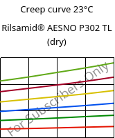 Creep curve 23°C, Rilsamid® AESNO P302 TL (dry), PA12-I, ARKEMA