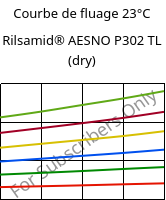 Courbe de fluage 23°C, Rilsamid® AESNO P302 TL (sec), PA12-I, ARKEMA