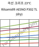 곡선 크리프 23°C, Rilsamid® AESNO P302 TL (건조), PA12-I, ARKEMA