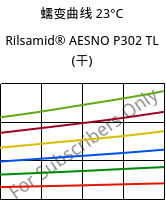 蠕变曲线 23°C, Rilsamid® AESNO P302 TL (烘干), PA12-I, ARKEMA