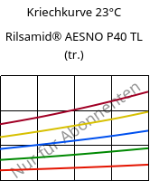 Kriechkurve 23°C, Rilsamid® AESNO P40 TL (trocken), PA12, ARKEMA