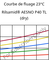 Courbe de fluage 23°C, Rilsamid® AESNO P40 TL (sec), PA12, ARKEMA