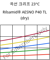 곡선 크리프 23°C, Rilsamid® AESNO P40 TL (건조), PA12, ARKEMA