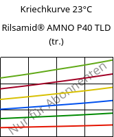 Kriechkurve 23°C, Rilsamid® AMNO P40 TLD (trocken), PA12, ARKEMA