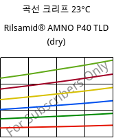 곡선 크리프 23°C, Rilsamid® AMNO P40 TLD (건조), PA12, ARKEMA