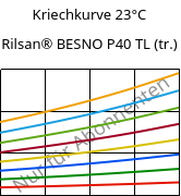 Kriechkurve 23°C, Rilsan® BESNO P40 TL (trocken), PA11, ARKEMA