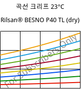 곡선 크리프 23°C, Rilsan® BESNO P40 TL (건조), PA11, ARKEMA