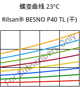 蠕变曲线 23°C, Rilsan® BESNO P40 TL (烘干), PA11, ARKEMA