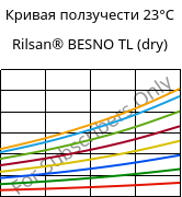 Кривая ползучести 23°C, Rilsan® BESNO TL (сухой), PA11, ARKEMA