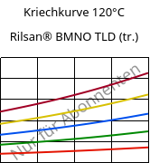 Kriechkurve 120°C, Rilsan® BMNO TLD (trocken), PA11, ARKEMA