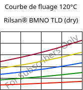 Courbe de fluage 120°C, Rilsan® BMNO TLD (sec), PA11, ARKEMA