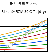 곡선 크리프 23°C, Rilsan® BZM 30 O TL (건조), PA11-GF30, ARKEMA