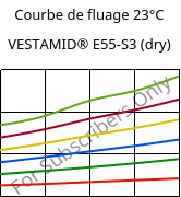 Courbe de fluage 23°C, VESTAMID® E55-S3 (sec), TPA, Evonik