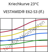 Kriechkurve 23°C, VESTAMID® E62-S3 (feucht), TPA, Evonik