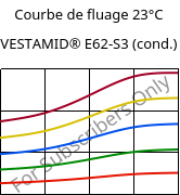 Courbe de fluage 23°C, VESTAMID® E62-S3 (cond.), TPA, Evonik