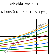 Kriechkurve 23°C, Rilsan® BESNO TL NB (trocken), PA11, ARKEMA