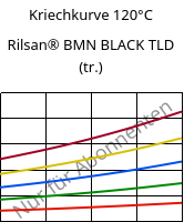 Kriechkurve 120°C, Rilsan® BMN BLACK TLD (trocken), PA11, ARKEMA