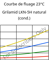 Courbe de fluage 23°C, Grilamid LKN-5H natural (cond.), PA12-GB30, EMS-GRIVORY